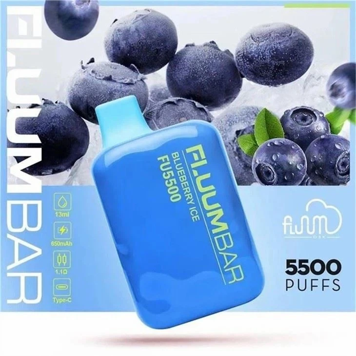 Fluum Bar 5500 Puffs Vape factory
