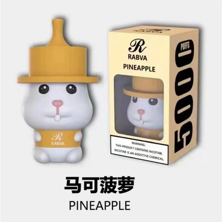 Rabva 5000 Puffs Vape
